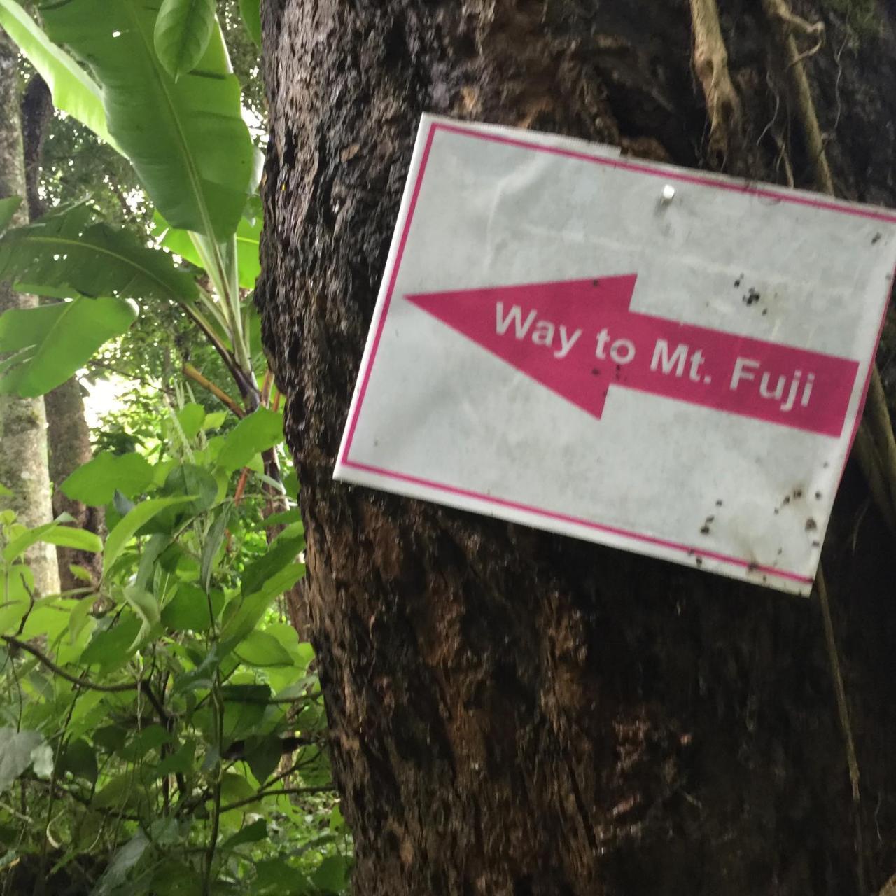Mount Fuji Homestay Deorāli Zewnętrze zdjęcie